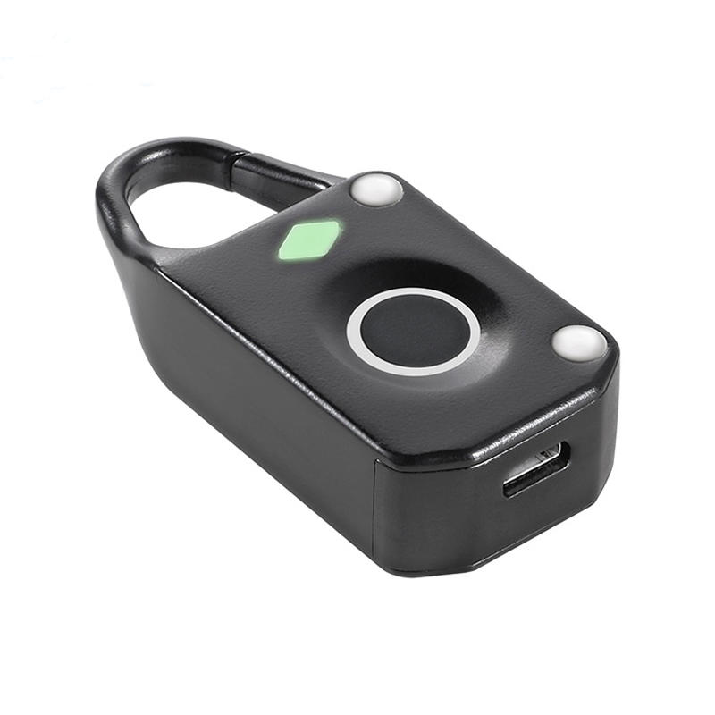 Eversunny keyless thumbprint lock entry system for home-1